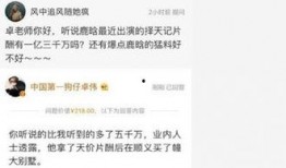卓伟最新爆料达人图片视频