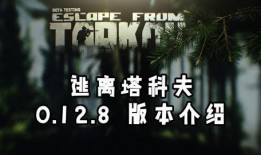 塔科夫金边最新爆料,揭秘游戏内重大更新与未来走向