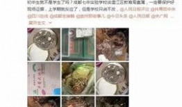 最新爆料有害食品有哪些,揭秘近期曝光的有害食品黑名单
