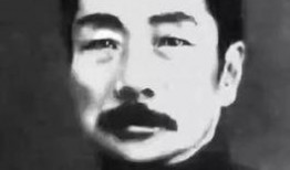 鲁迅最新爆料视频播放,揭秘历史真相，引发社会热议