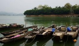 顺德杏坛爆料最新消息,揭秘社区热点事件背后的真相