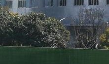 江苏昆山爆料事件最新,真相与争议交织的悬疑剧