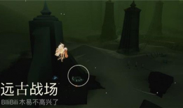 光遇冥想季最新爆料,揭秘神秘新元素与浪漫冒险之旅