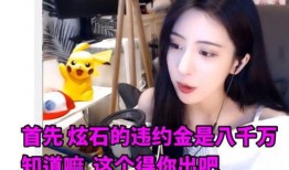 144期龙姐最新爆料,144期最新爆料，揭秘娱乐圈幕后真相