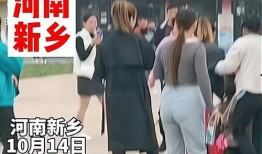 河南网友爆料视频最新,惊现神秘事件，真相令人震惊！