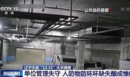 大连事件爆料视频最新,视频揭露惊人真相