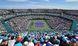 迈阿密最新爆料新闻,惊天秘密即将揭晓！