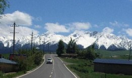 最新爆料绿山路,揭秘神秘项目背后的真相与未来展望