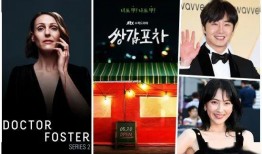 海恩韩网最新爆料新闻,最新韩娱圈惊天大事件揭秘