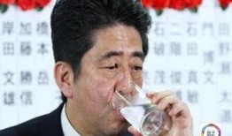 安倍爆料最新消息视频,揭秘最新消息背后的惊人真相