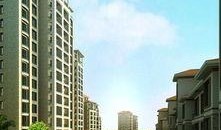 南水国际最新爆料,最新爆料背后的惊人真相