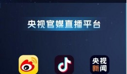 七日直播爆料最新消息视频,最新消息视频深度解析