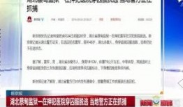 湖北蔡甸区爆料新闻最新,最新爆料揭示惊人真相