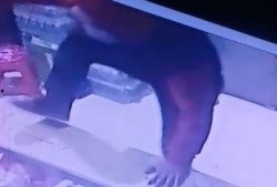 佤邦最新爆料消息视频,揭秘神秘势力动态