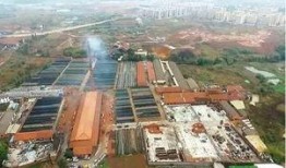 澄海龙坑违建最新爆料,揭秘背后惊人真相