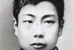 鲁迅最新爆料视频播放,揭秘历史真相，引发社会热议