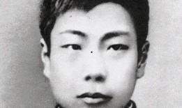 鲁迅最新爆料视频播放,揭秘历史真相，引发社会热议