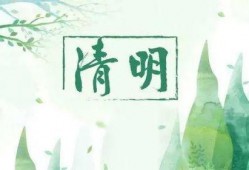 清明最新爆料,重磅爆料揭秘幕后故事