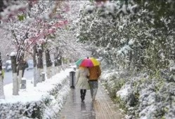 昆明爆料下雪事件最新情况,市民欢声笑语迎瑞雪